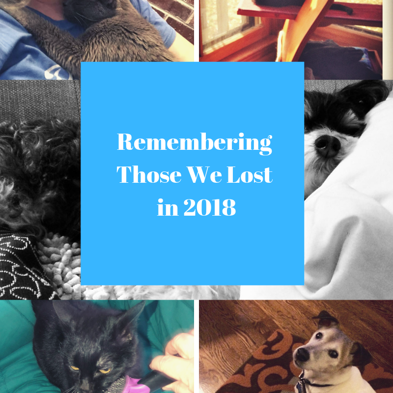 A Memorial: Remembering Friends We Lost in 2018
