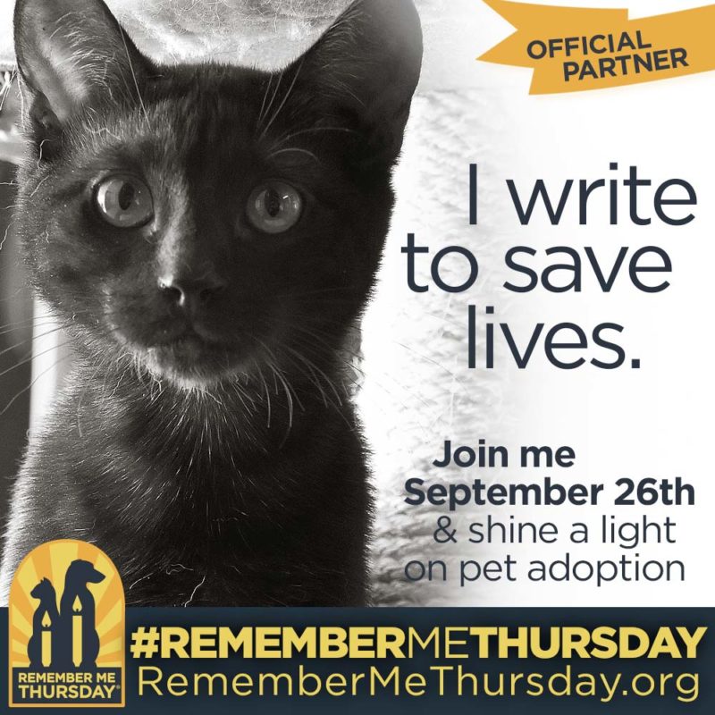It’s #RememberMEThursday: Let’s Focus on Pet Adoption