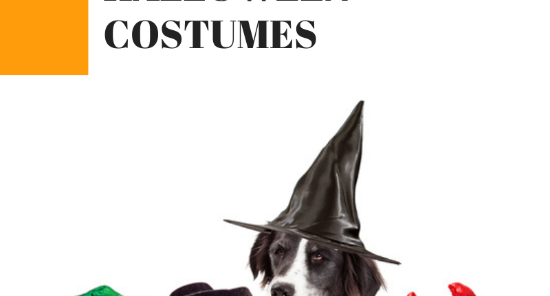Pet Halloween Costumes: Select Ones Safe and Comfortable