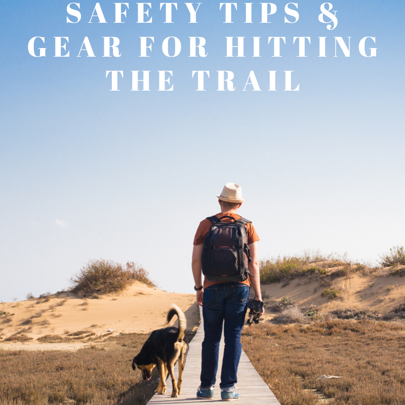 Hiking With Dogs: Safety Tips, and Gear For Hitting Trail