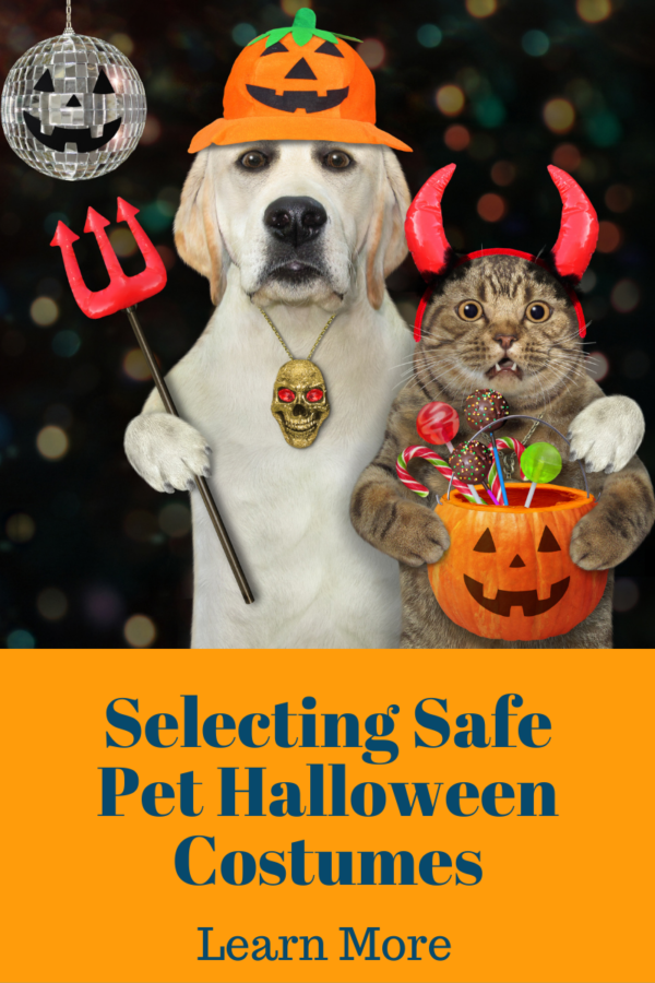 pet halloween costumes graphic with dog and cat in halloween costumes that are safe and comfortable for them to wear